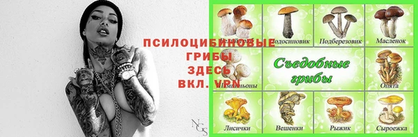 кокс Алексеевка