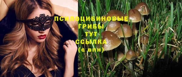 мяу мяу мука Алзамай